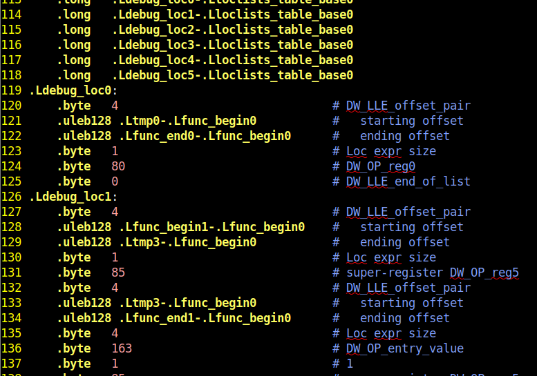 partial screenshot of the DWARF debugging symbols